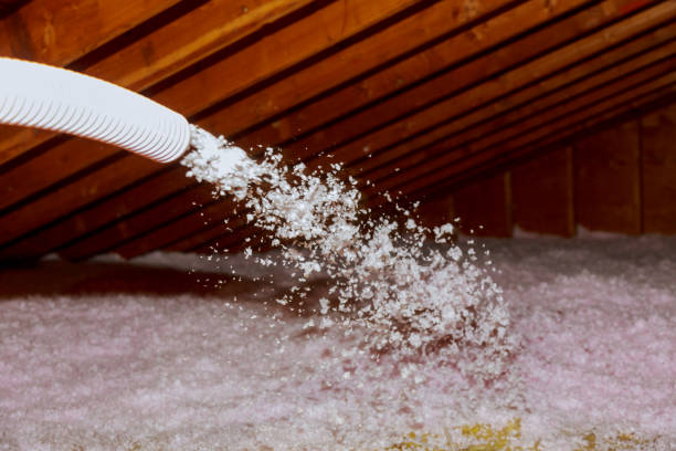 Best Insulation Inspection Services  in Thomaston, NY
