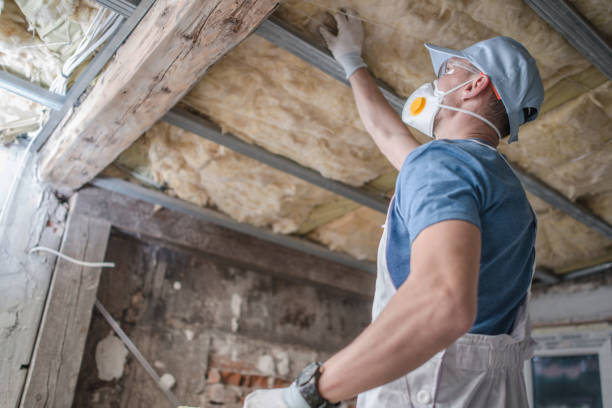 Best Fiberglass Insulation  in Thomaston, NY